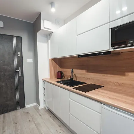 Apartament9 Zrodlana Mountainaparts Swieradow-Zdroj Exterior photo